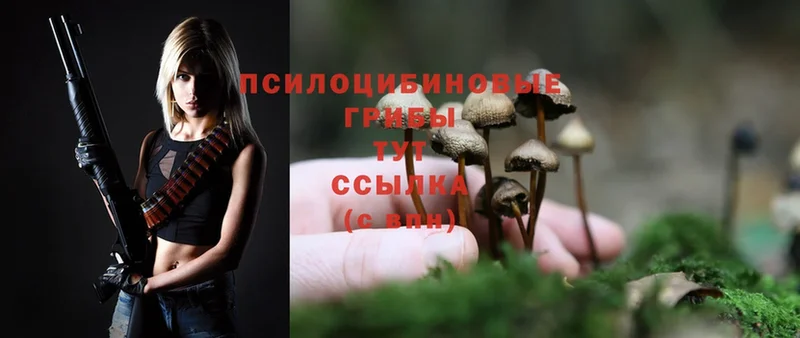 Галлюциногенные грибы Psilocybine cubensis  гидра ONION  Подольск  где продают  